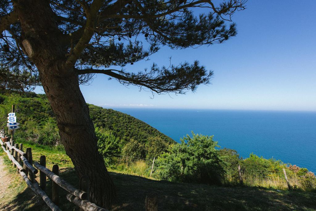 Torre Di Baratti Bio Resort 포퓰로니아 외부 사진